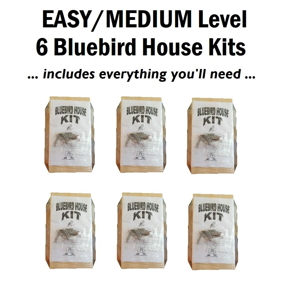 BLUEBIRD HOUSE KITS: an easy, team-building project for companies and